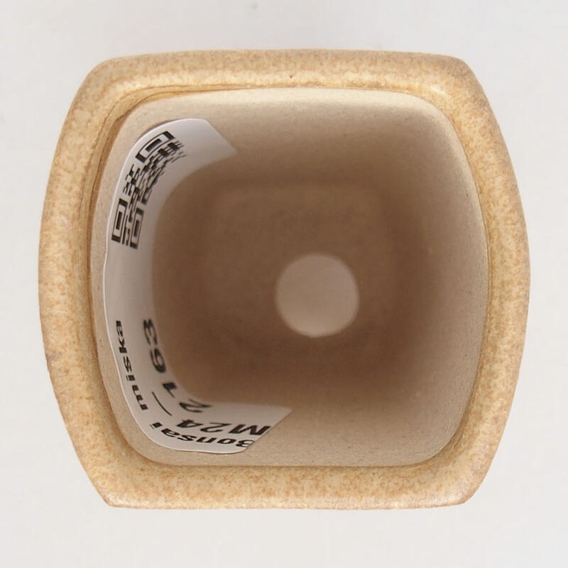 Mini bol à bonsaï 3,5 x 3,5 x 5,5 cm, brun