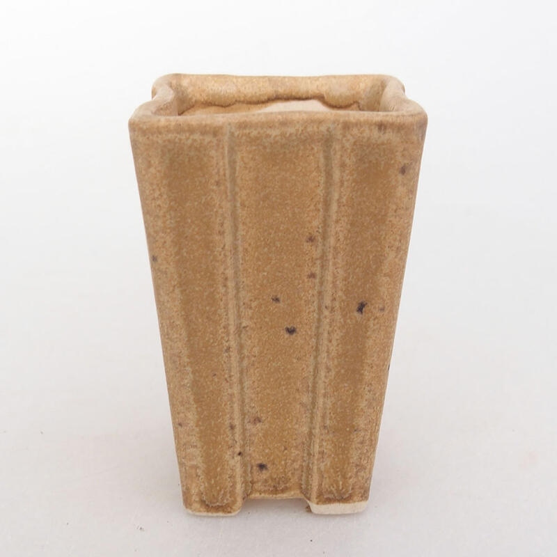 Mini bol à bonsaï 3,5 x 3,5 x 6 cm, brun