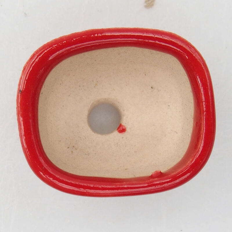 Mini bol bonsaï 3 x 2,5 x 1,5 cm, couleur rouge
