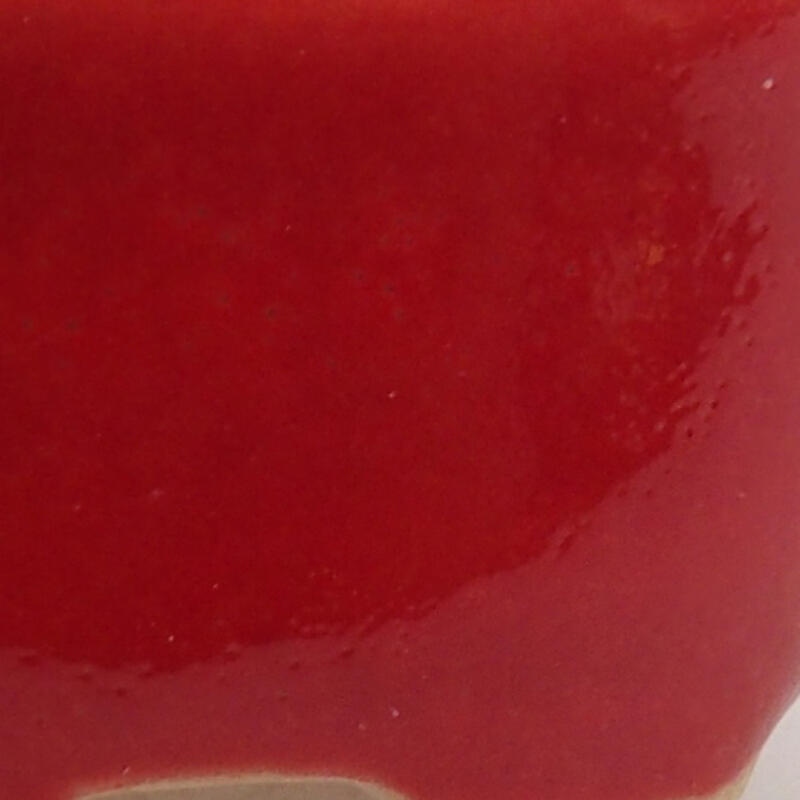 Mini bol bonsaï 3 x 2,5 x 1,5 cm, couleur rouge