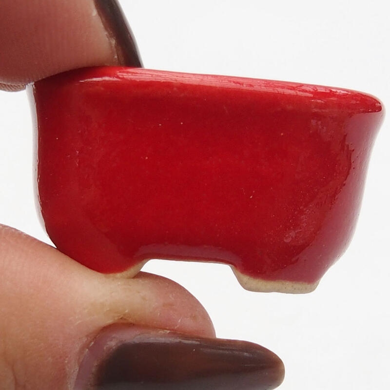 Mini bol bonsaï 3 x 2,5 x 1,5 cm, couleur rouge