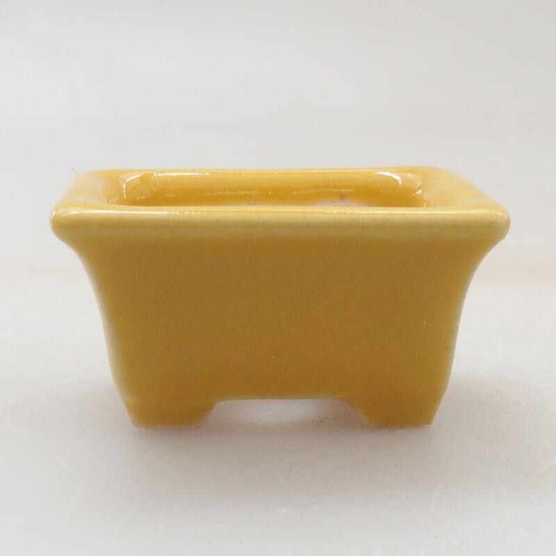Mini bol bonsaï 3 x 2,5 x 1,5 cm, jaune