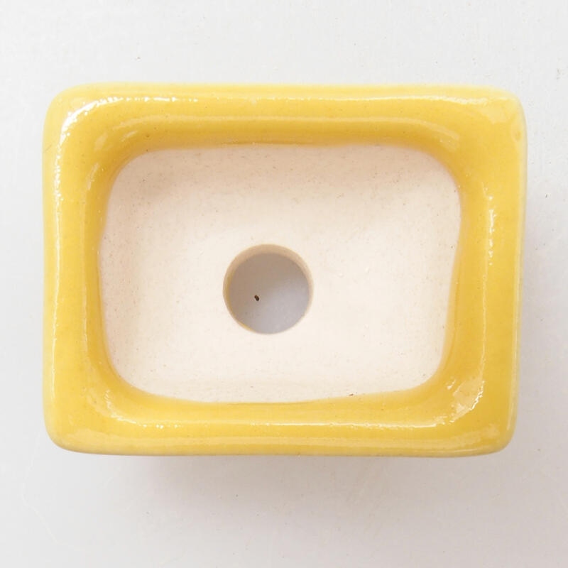 Mini bol bonsaï 3 x 2,5 x 1,5 cm, jaune