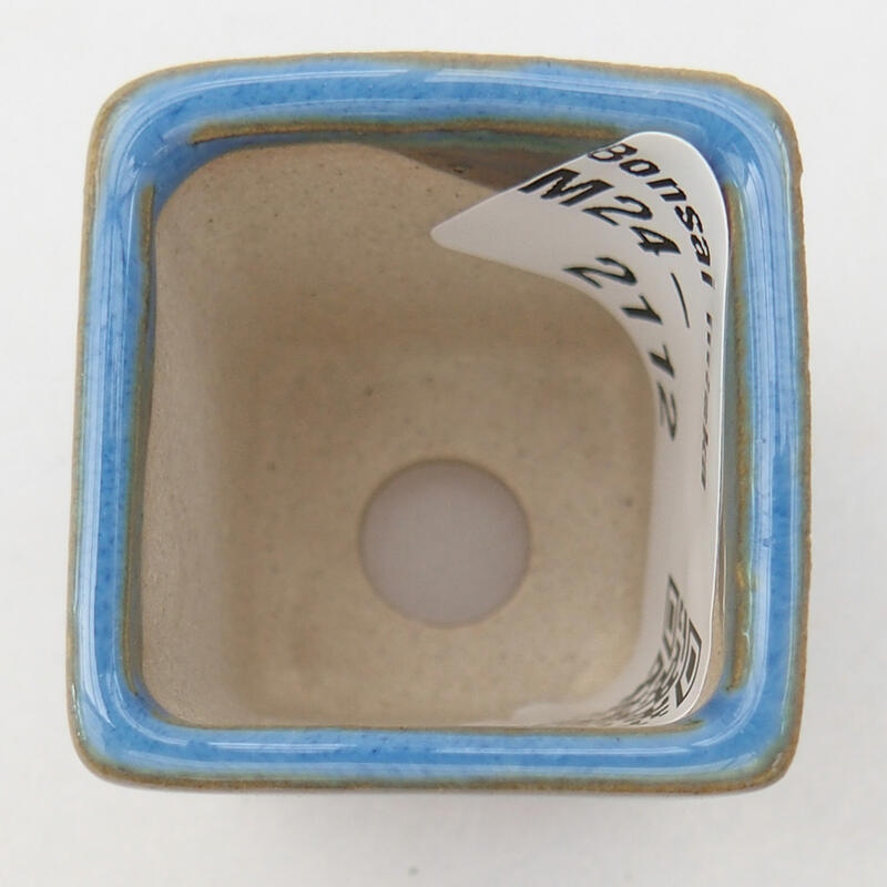 Mini bol bonsaï 3 x 3,5 x 3,5 cm, couleur bleu