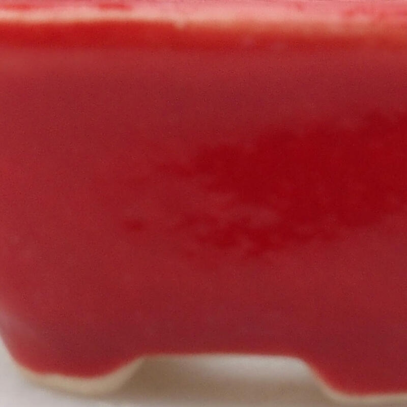 Mini bol bonsaï 3 x 3 x 1,5 cm, couleur rouge