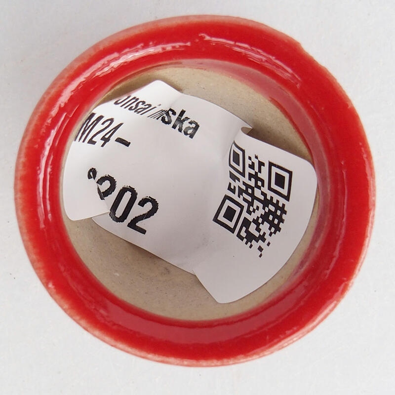 Mini bol bonsaï 3 x 3 x 2,5 cm, couleur rouge