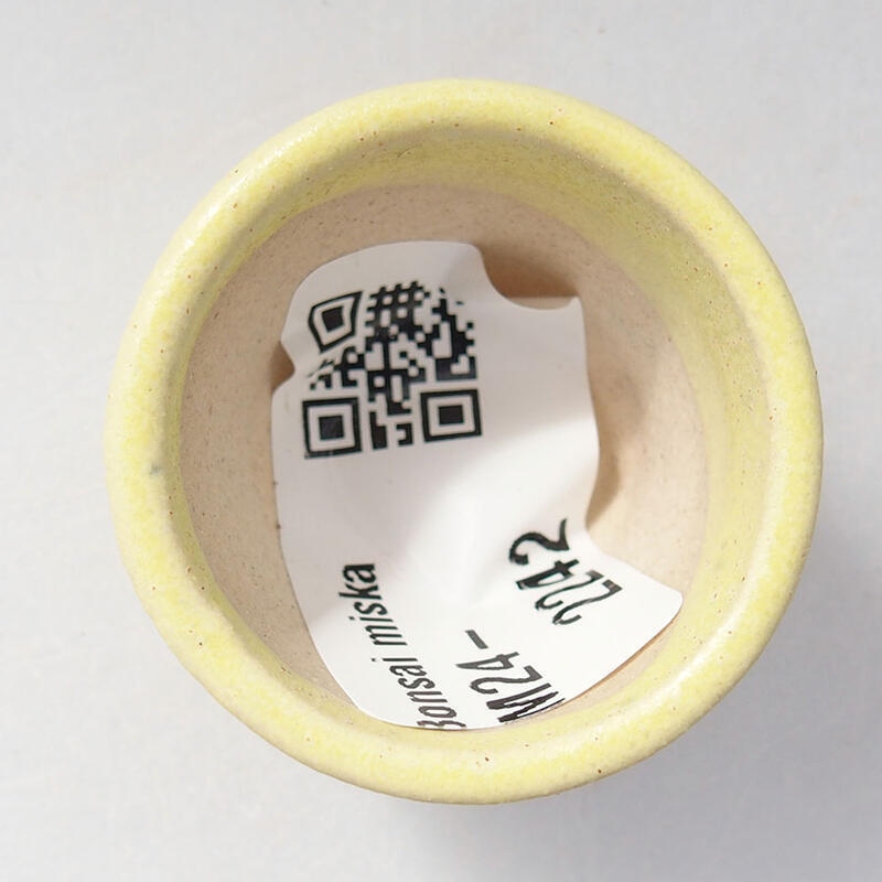 Mini bol bonsaï 3 x 3 x 2,5 cm, jaune