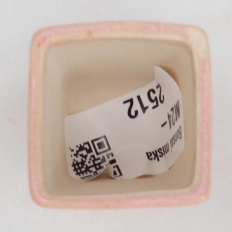 Mini bol bonsaï 3 x 3 x 3,5 cm, rose