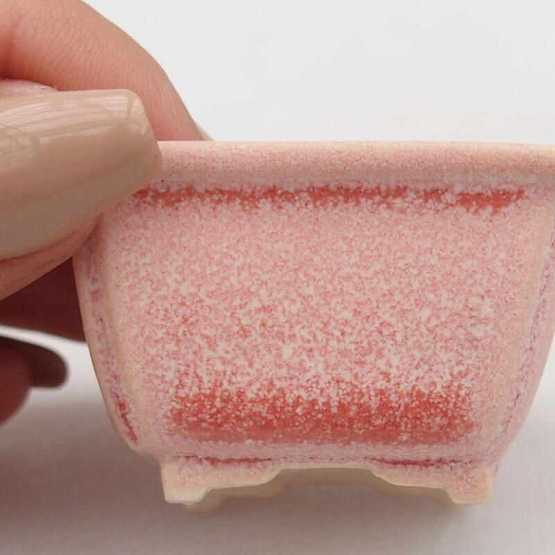 Mini bol bonsaï 4,5 x 3,5 x 2,5 cm, rose