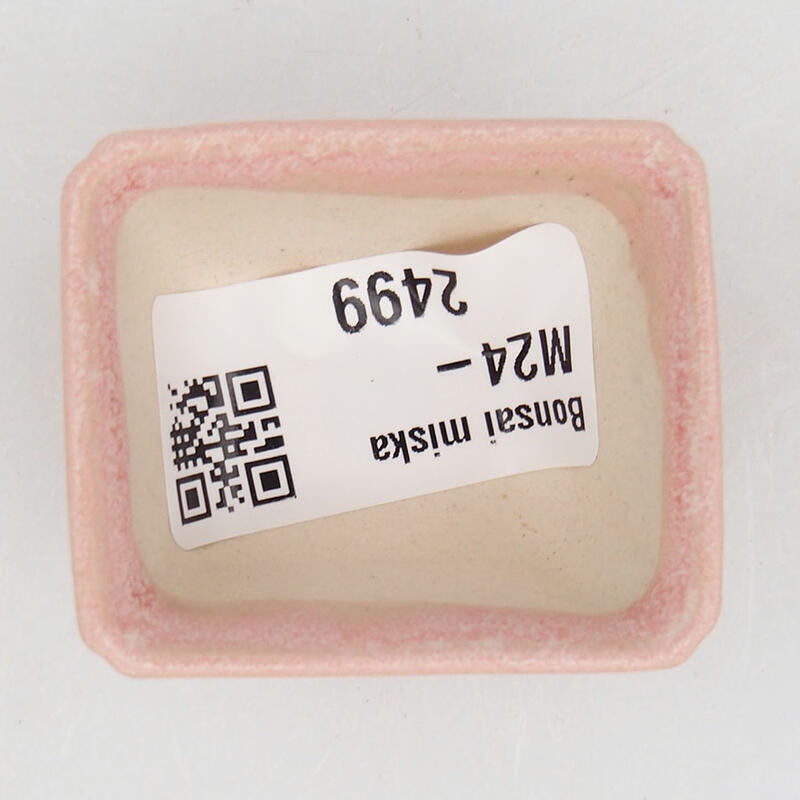 Mini bol bonsaï 4,5 x 3,5 x 2,5 cm, rose