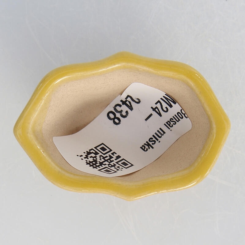 Mini bol bonsaï 4,5 x 3,5 x 2,5 cm, jaune