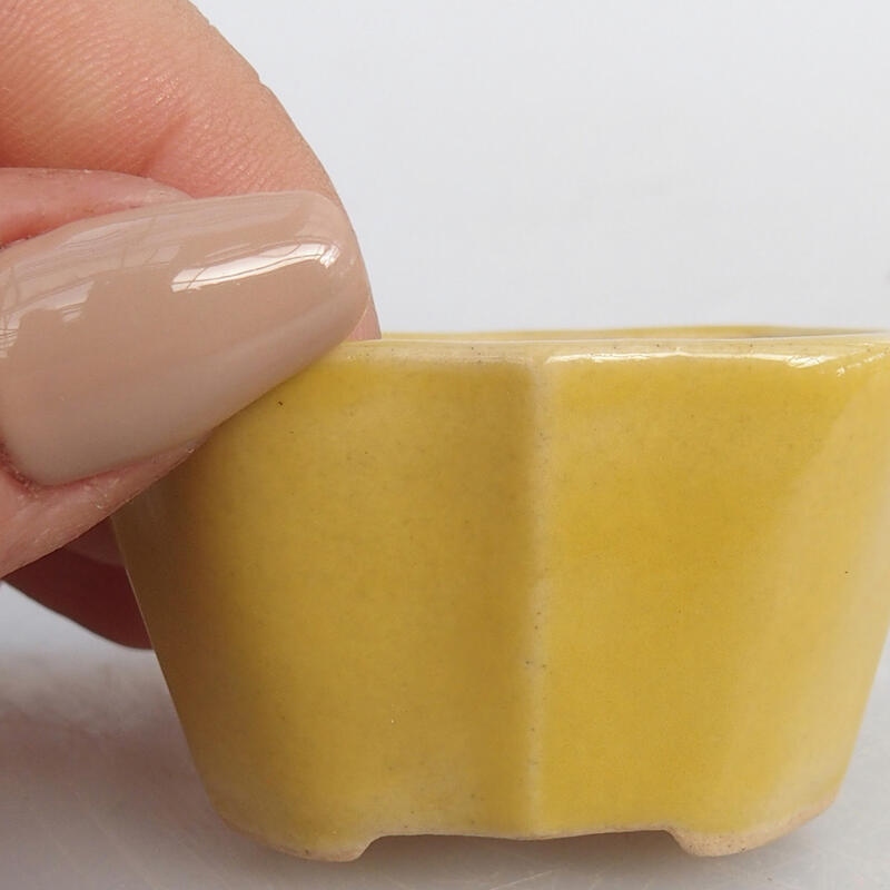 Mini bol bonsaï 4,5 x 3,5 x 2,5 cm, jaune