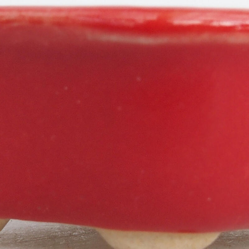 Mini bol bonsaï 4,5 x 3,5 x 2 cm, couleur rouge