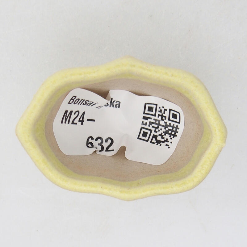 Mini bol bonsaï 4,5 x 3 x 2,5 cm, vert