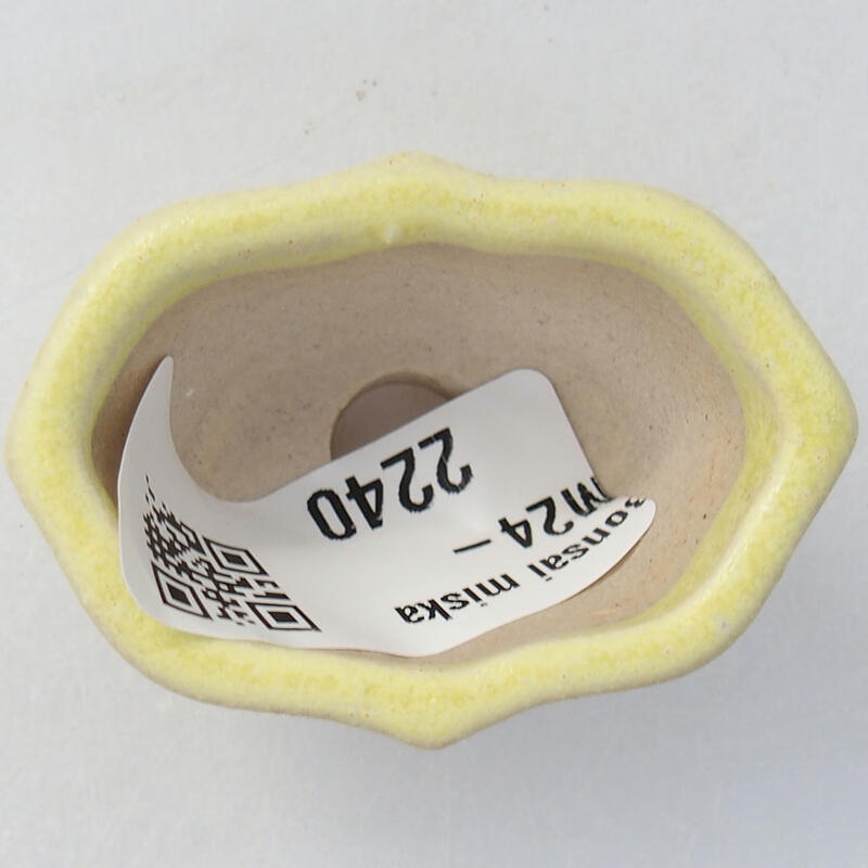 Mini bol bonsaï 4,5 x 3 x 2,5 cm, jaune