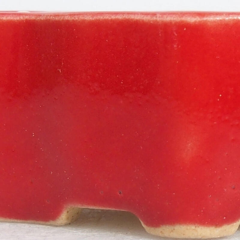 Mini bol bonsaï 4,5 x 3 x 2 cm, couleur rouge