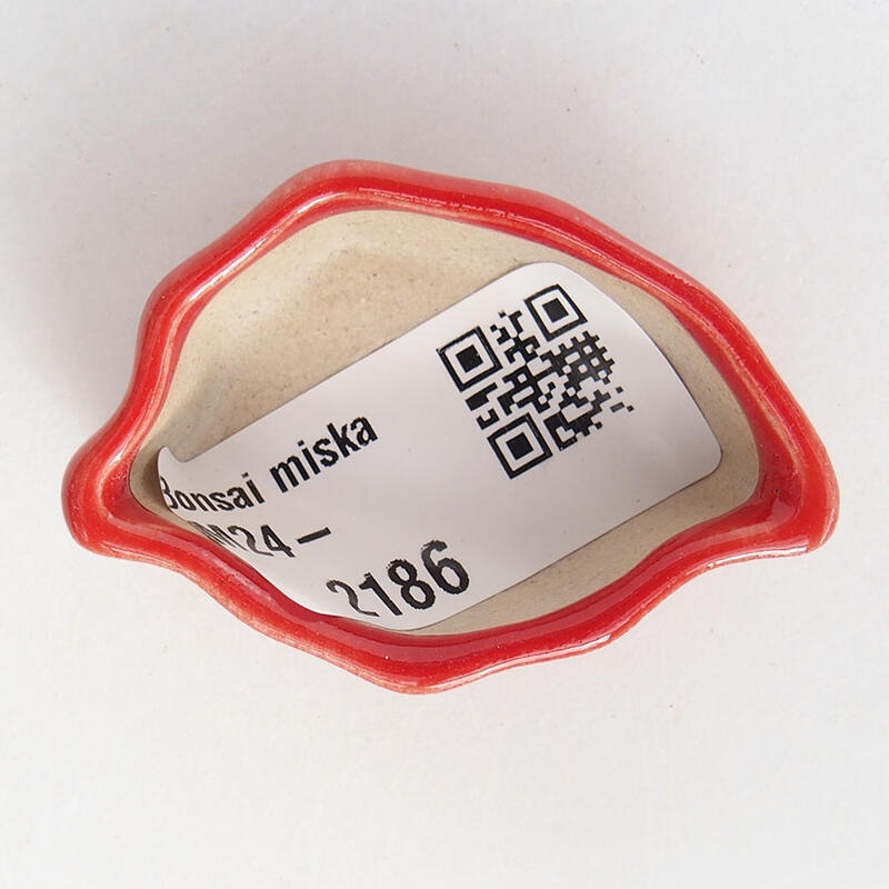 Mini bol bonsaï 4,5 x 3 x 2 cm, couleur rouge