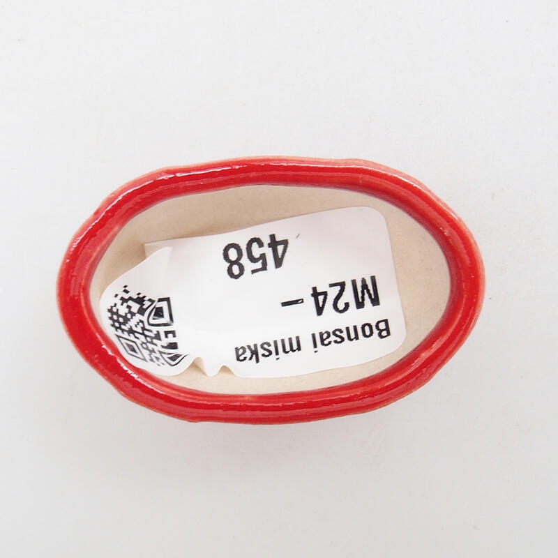 Mini bol bonsaï 4,5 x 3 x 2 cm, couleur rouge