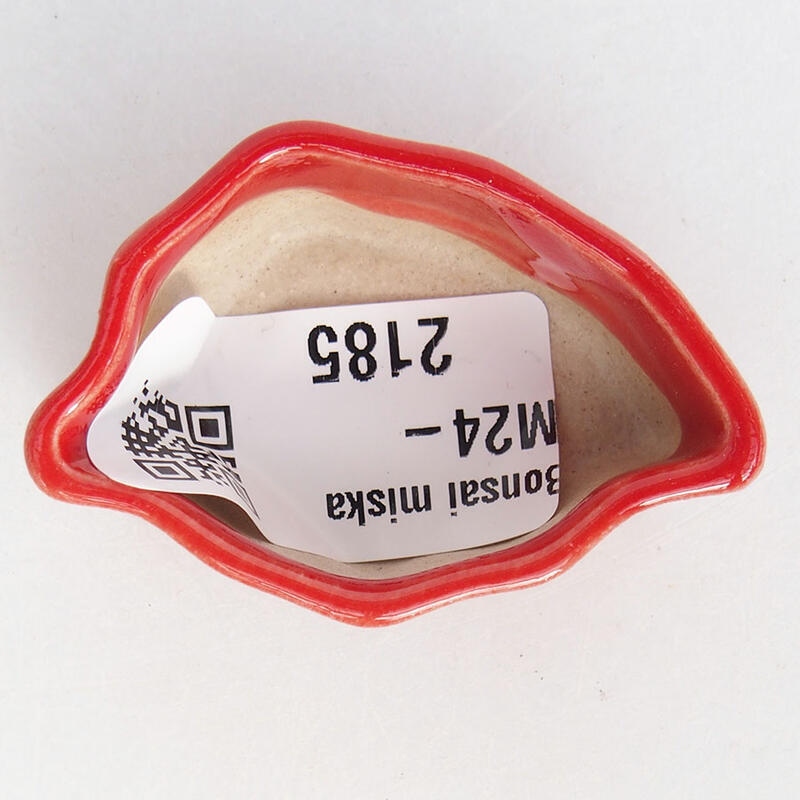 Mini bol bonsaï 4,5 x 3 x 2 cm, couleur rouge
