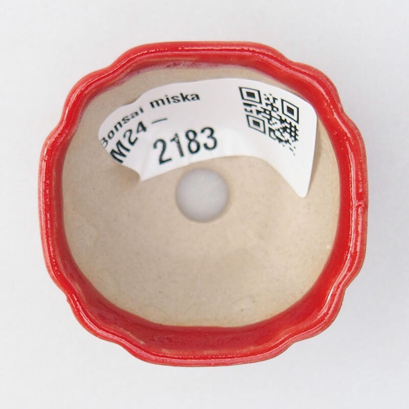Mini bol bonsaï 4,5 x 4,5 x 2,5 cm, couleur rouge