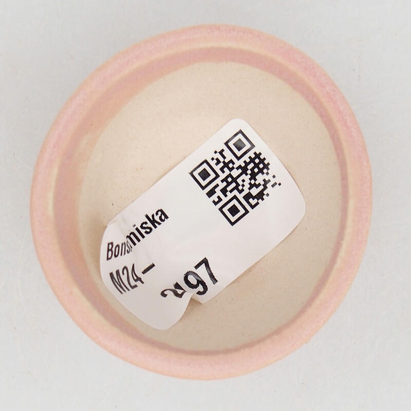 Mini bol bonsaï 4,5 x 4,5 x 2,5 cm, rose