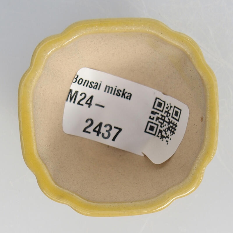 Mini bol bonsaï 4,5 x 4,5 x 2,5 cm, jaune
