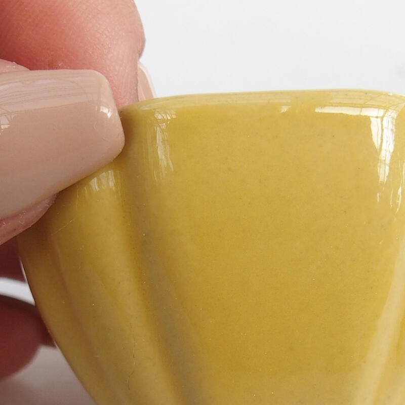 Mini bol bonsaï 4,5 x 4,5 x 2,5 cm, jaune