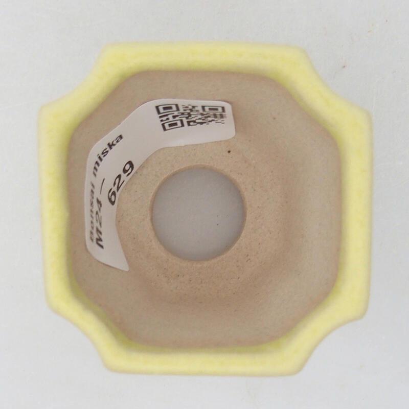 Mini bol bonsaï 4,5 x 4,5 x 4 cm, vert