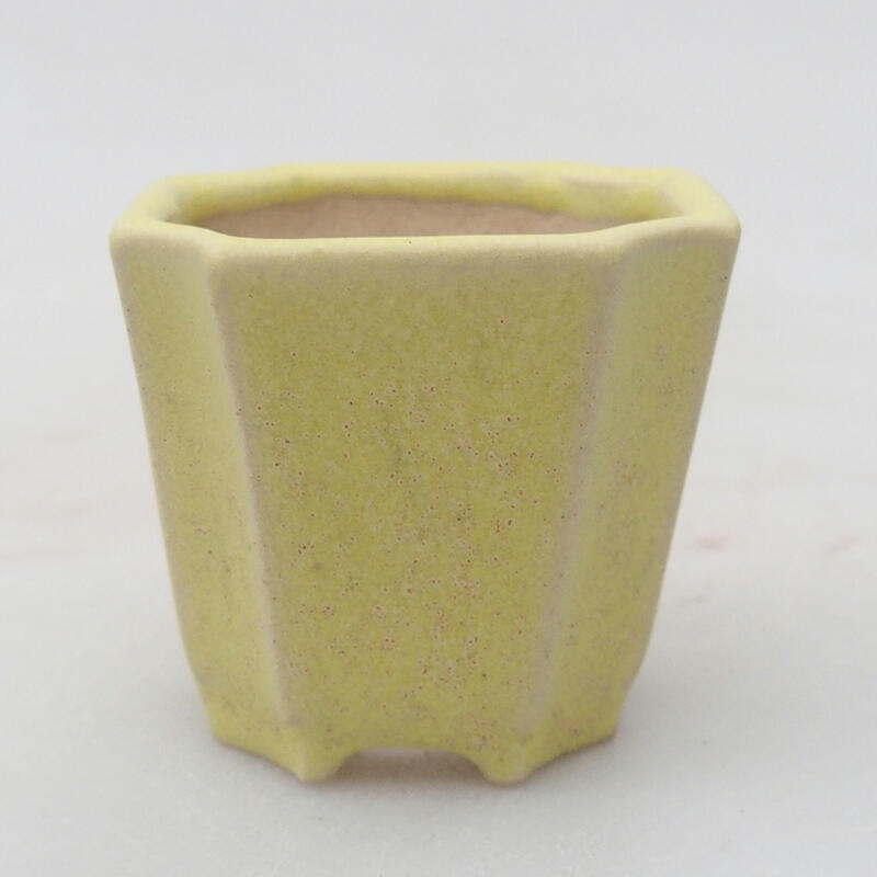 Mini bol bonsaï 4,5 x 4,5 x 4 cm, vert