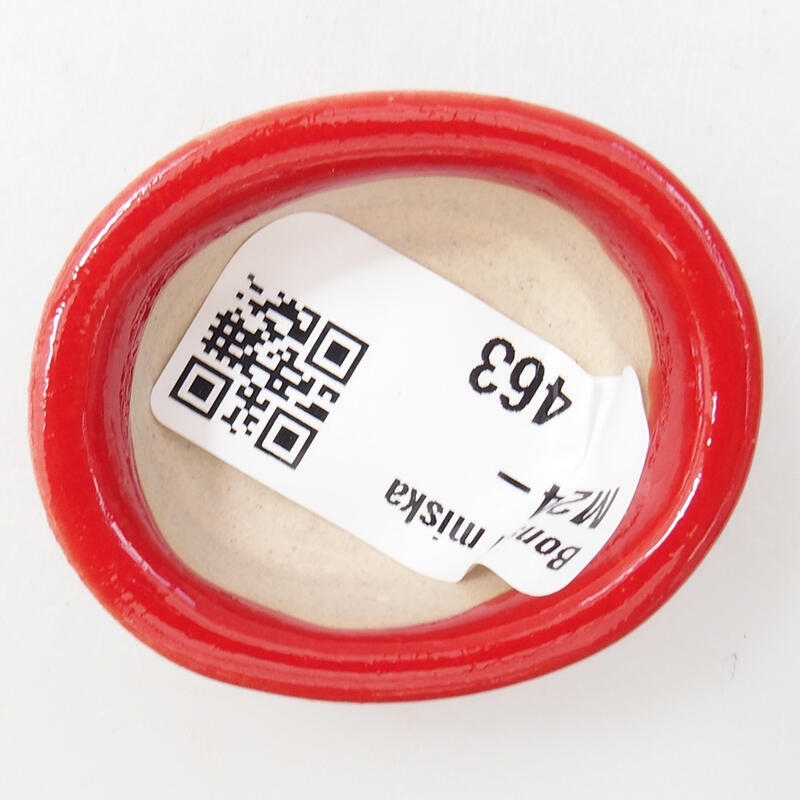 Mini bol bonsaï 4,5 x 4 x 2 cm, couleur rouge