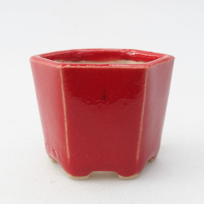 Mini bol bonsaï 4,5 x 4 x 3,5 cm, couleur rouge