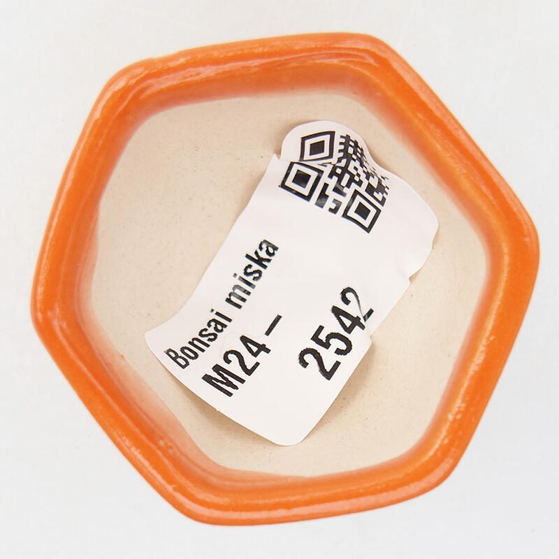 Mini bol bonsaï 4,5 x 4 x 3 cm, orange