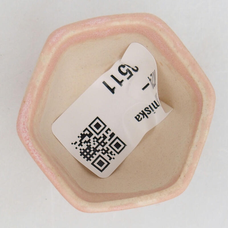 Mini bol bonsaï 4,5 x 4 x 3 cm, rose