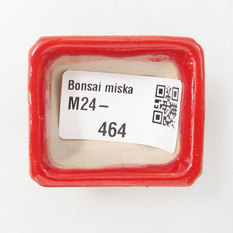 Mini bol bonsaï 4 x 3,5 x 2,5 cm, couleur rouge