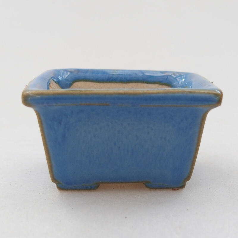 Mini bol bonsaï 4 x 3,5 x 2,5 cm, couleur bleu