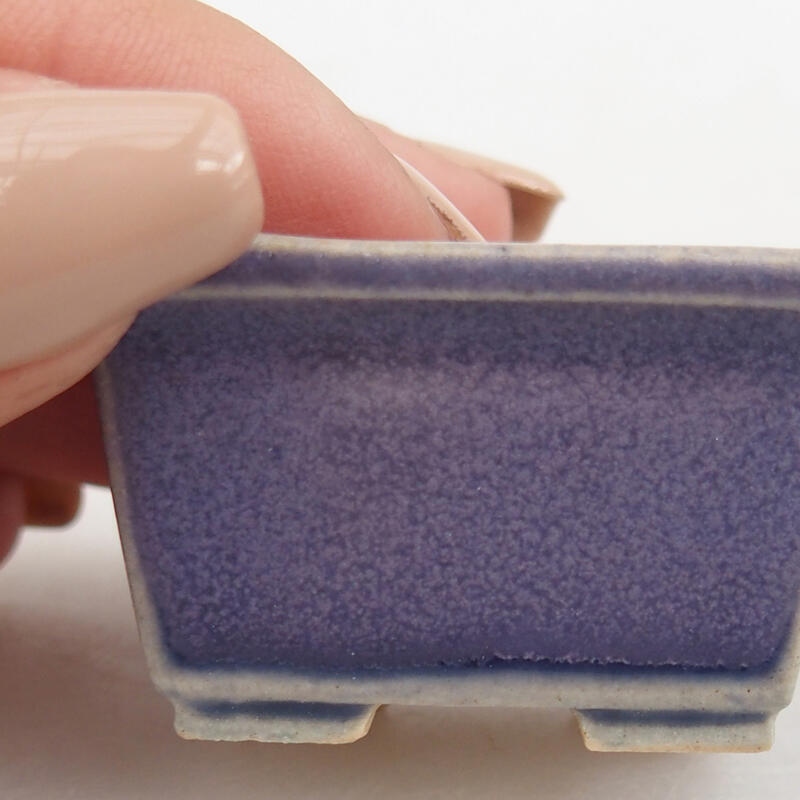 Mini bol bonsaï 4 x 3,5 x 2 cm, couleur violet