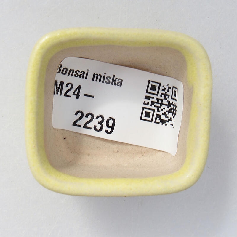 Mini bol bonsaï 4 x 3,5 x 2 cm, jaune