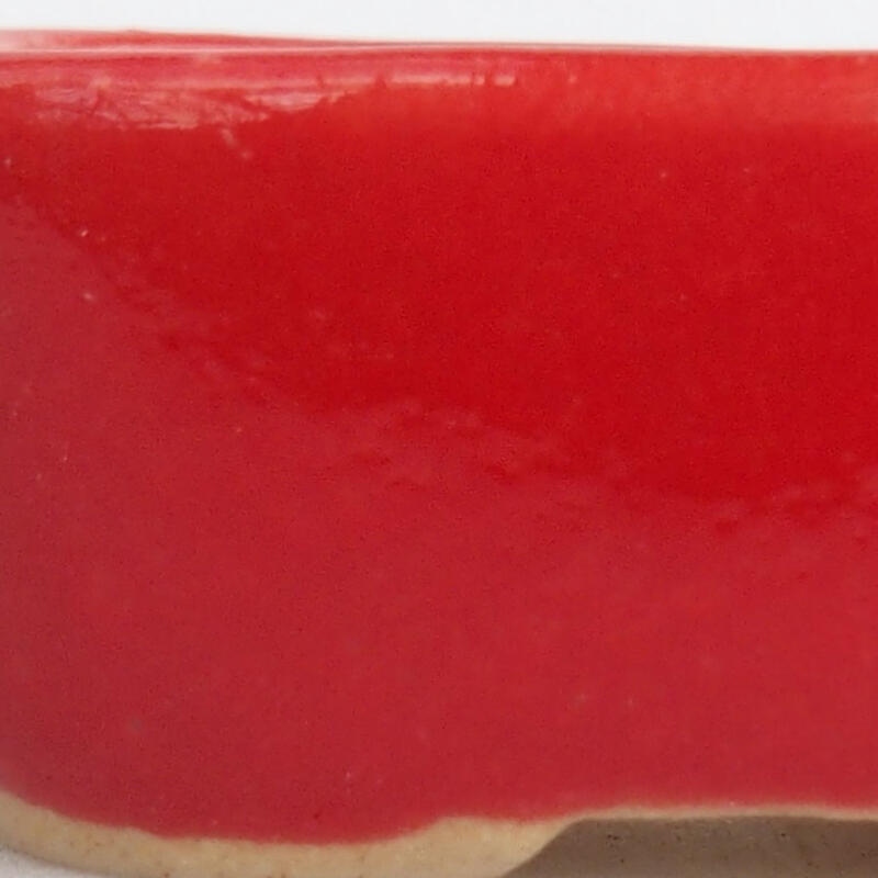 Mini bol bonsaï 4 x 3 x 1,5 cm, couleur rouge