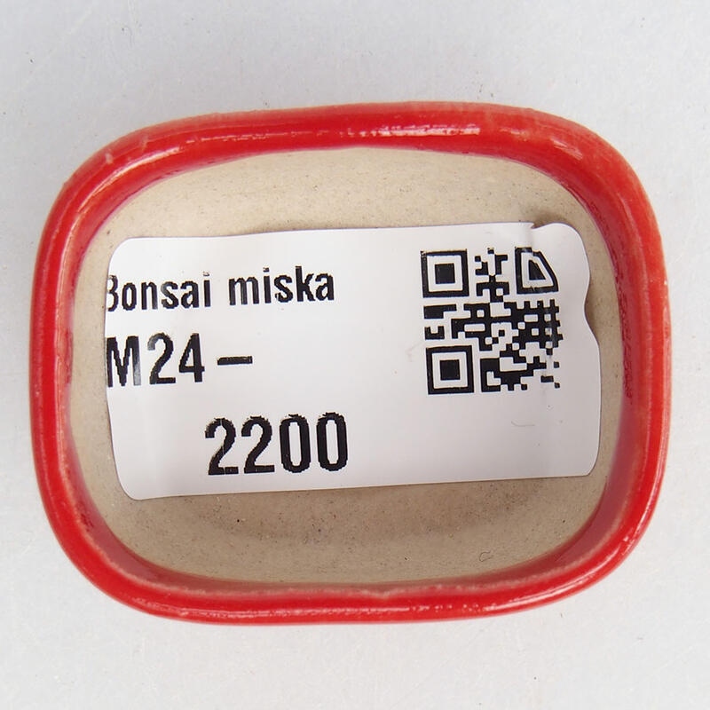 Mini bol bonsaï 4 x 3 x 1,5 cm, couleur rouge