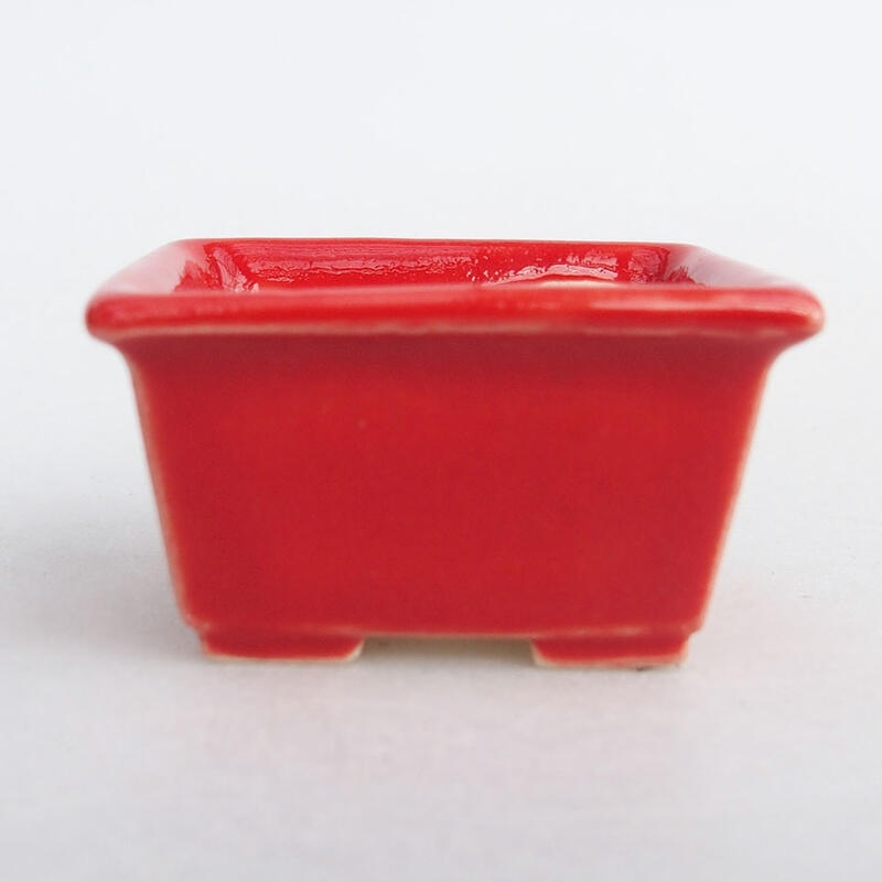 Mini bol bonsaï 4 x 3 x 2 cm, couleur rouge