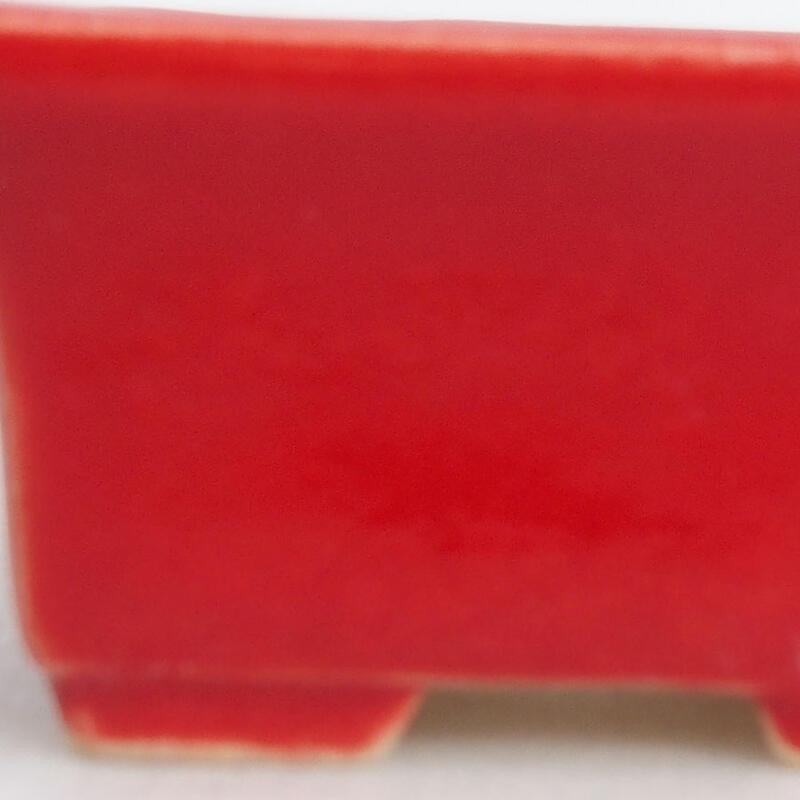 Mini bol bonsaï 4 x 3 x 2 cm, couleur rouge