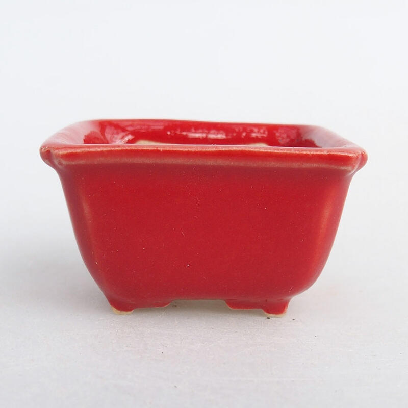 Mini bol bonsaï 4 x 3 x 2 cm, couleur rouge
