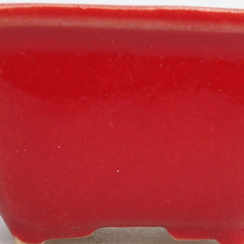 Mini bol bonsaï 4 x 3 x 2 cm, couleur rouge
