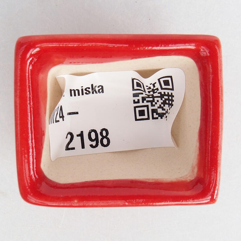 Mini bol bonsaï 4 x 3 x 2 cm, couleur rouge