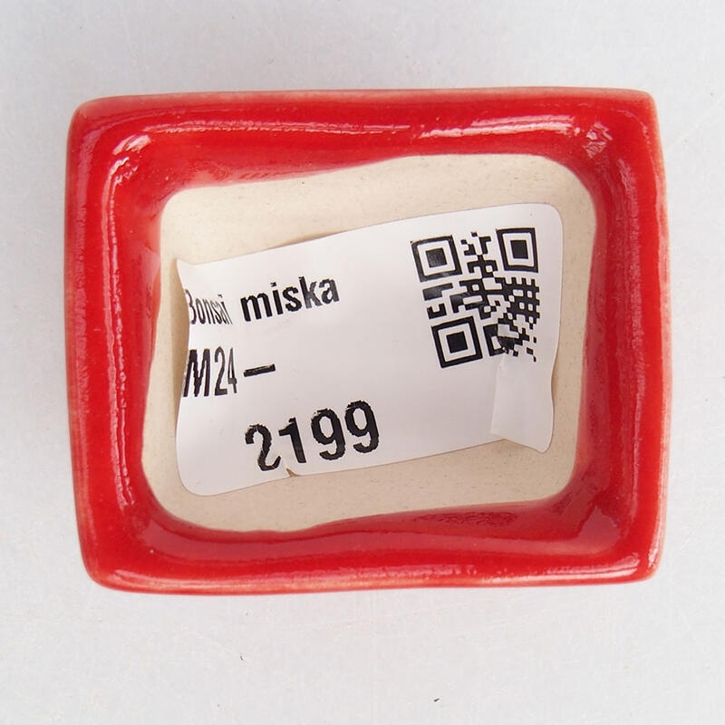 Mini bol bonsaï 4 x 3 x 2 cm, couleur rouge