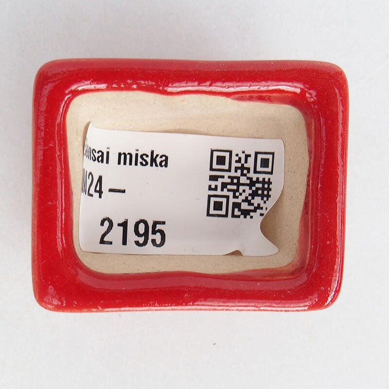 Mini bol bonsaï 4 x 3 x 2 cm, couleur rouge