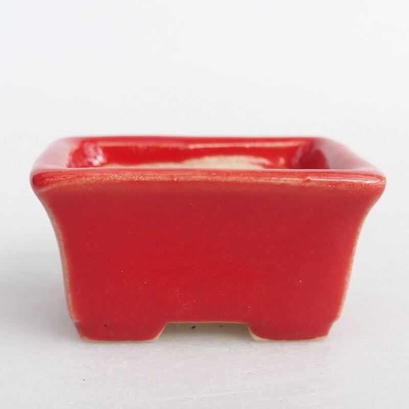 Mini bol bonsaï 4 x 3 x 2 cm, couleur rouge