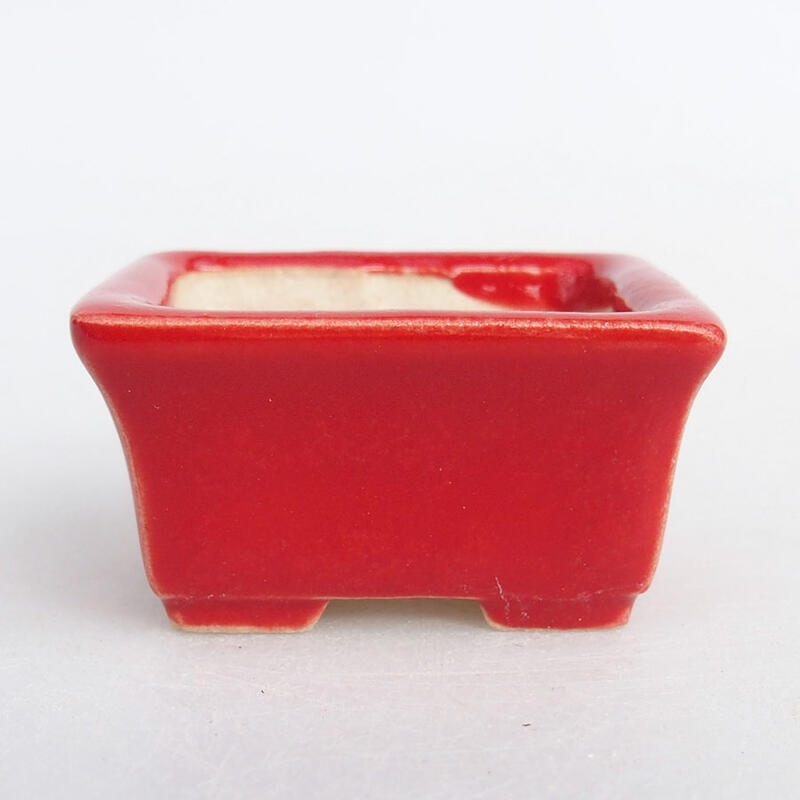 Mini bol bonsaï 4 x 3 x 2 cm, couleur rouge