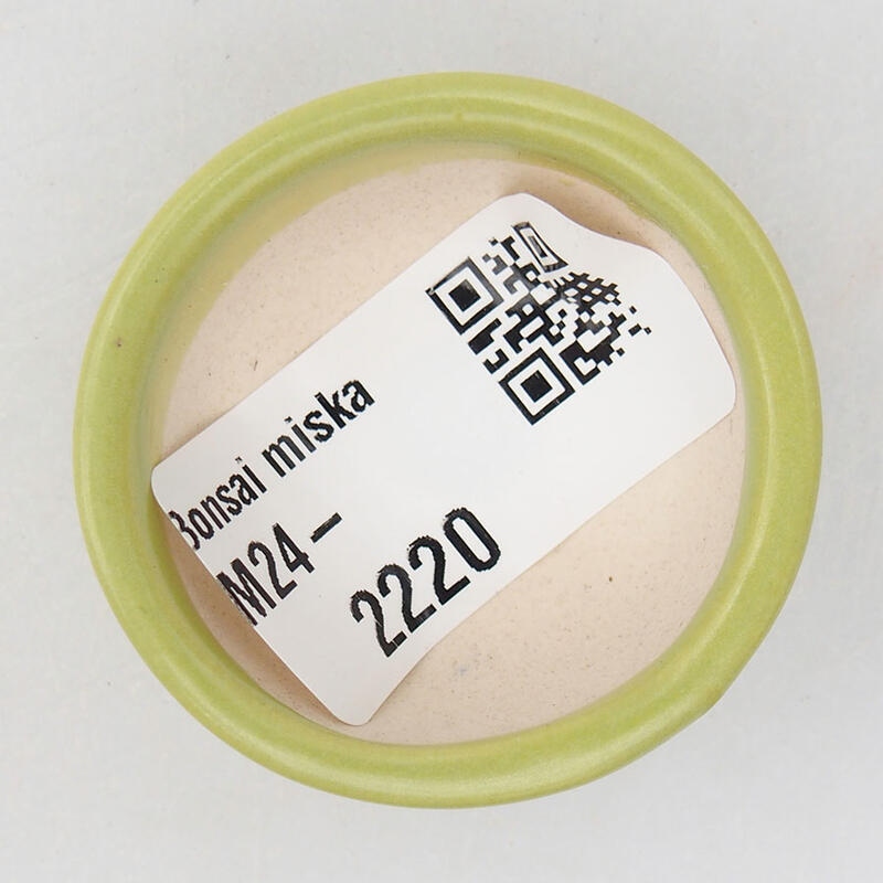 Mini bol bonsaï 4 x 4 x 1,5 cm, vert