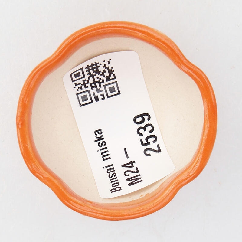 Mini bol bonsaï 4 x 4 x 2,5 cm, orange